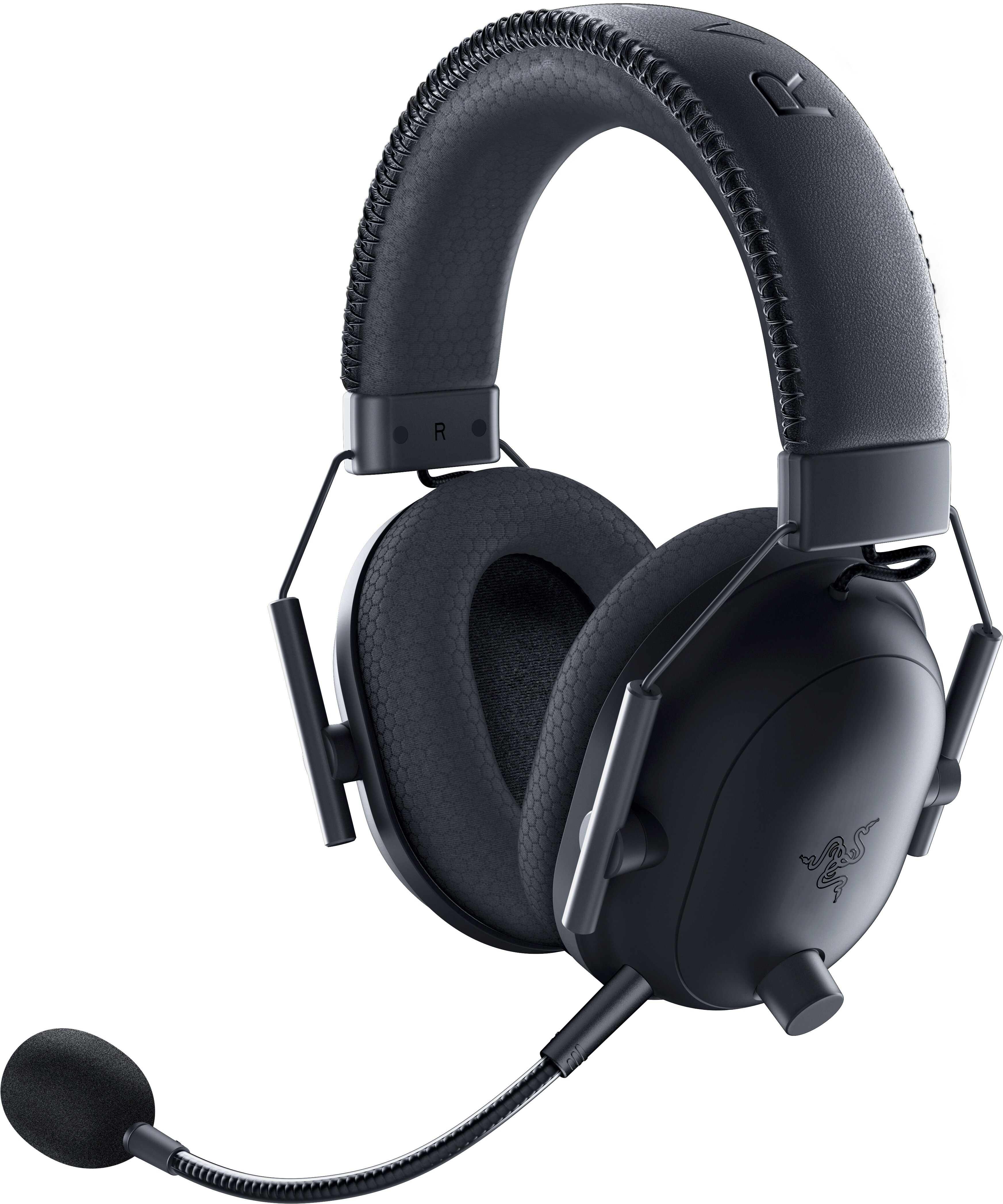 Black v2 2025