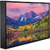 Peerless CL-49PLC68-OB-EUK 124.46cm 49Inch Xtreme Sealed LCD Display IP68 no speakers optically Bonded (1920 x 1080 pixels)