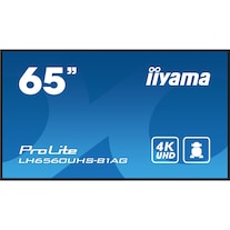 iiyama ProLite LH6560UHS-B1AG (3840 x 2160 Pixel, 65")