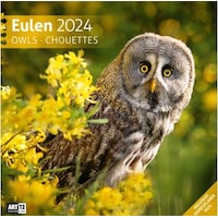 Eulen Kalender 2024 - 30x30 (30 x 30 cm, Deutsch)