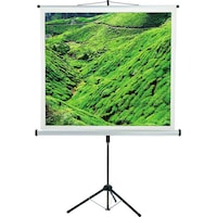 Medium CombiFlex Budget - Projection screen with tripod - 212 cm (84") (84", 1:1)