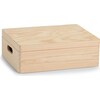 Zeller Present All-purpose box (40 x 30 x 14 cm, 17 l)