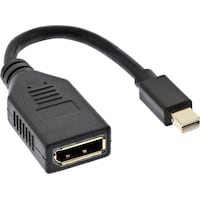 InLine Mini DisplayPort zu (DP, 15 cm)