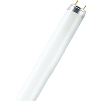 Osram Lumilux-Lampe (G13, 36 W, 3100 lm, G)