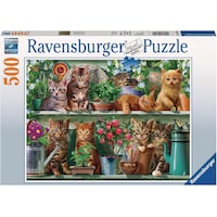 Ravensburger Katzen im Regal (500 Teile)