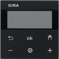 Gira RTR Display 5393005